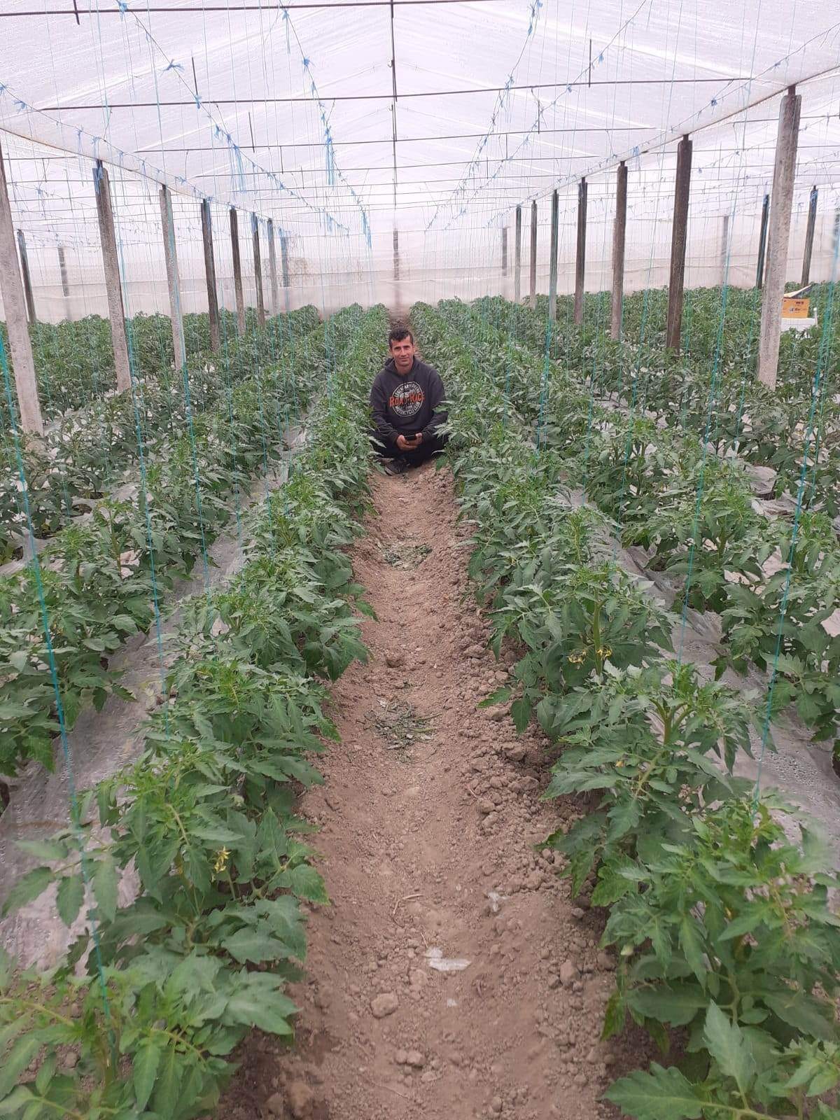 Green agro al prane fermerit