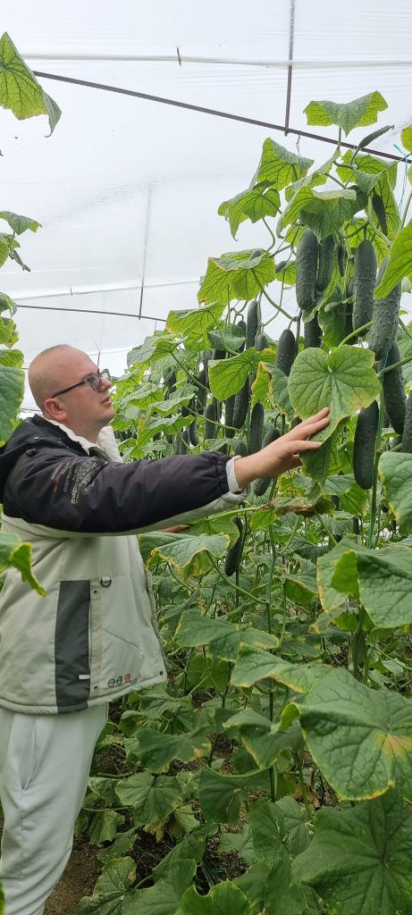 Green agro al prane fermerit