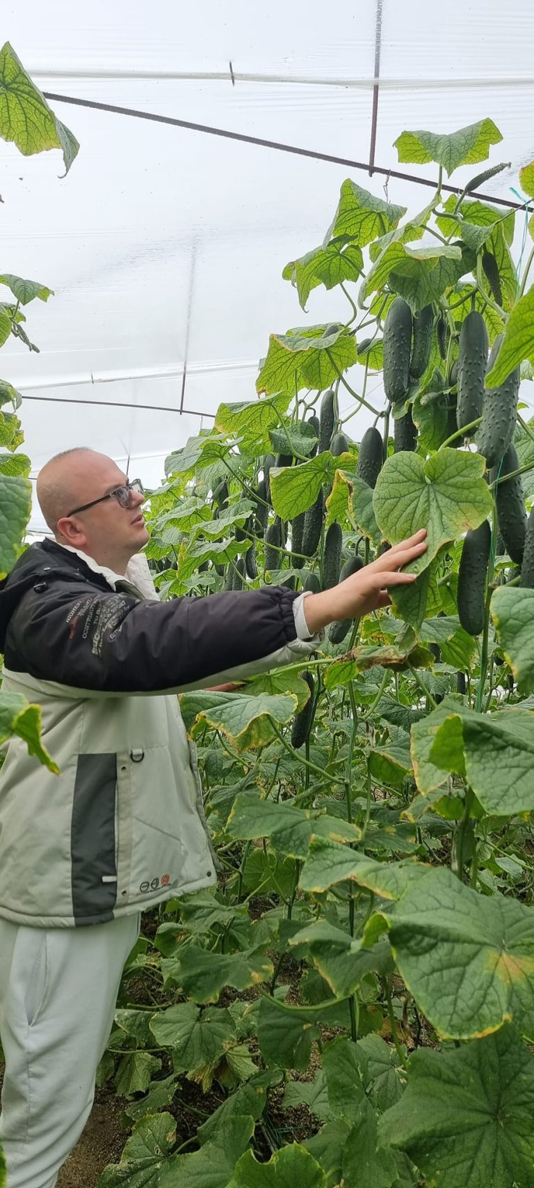 Green agro al prane fermerit