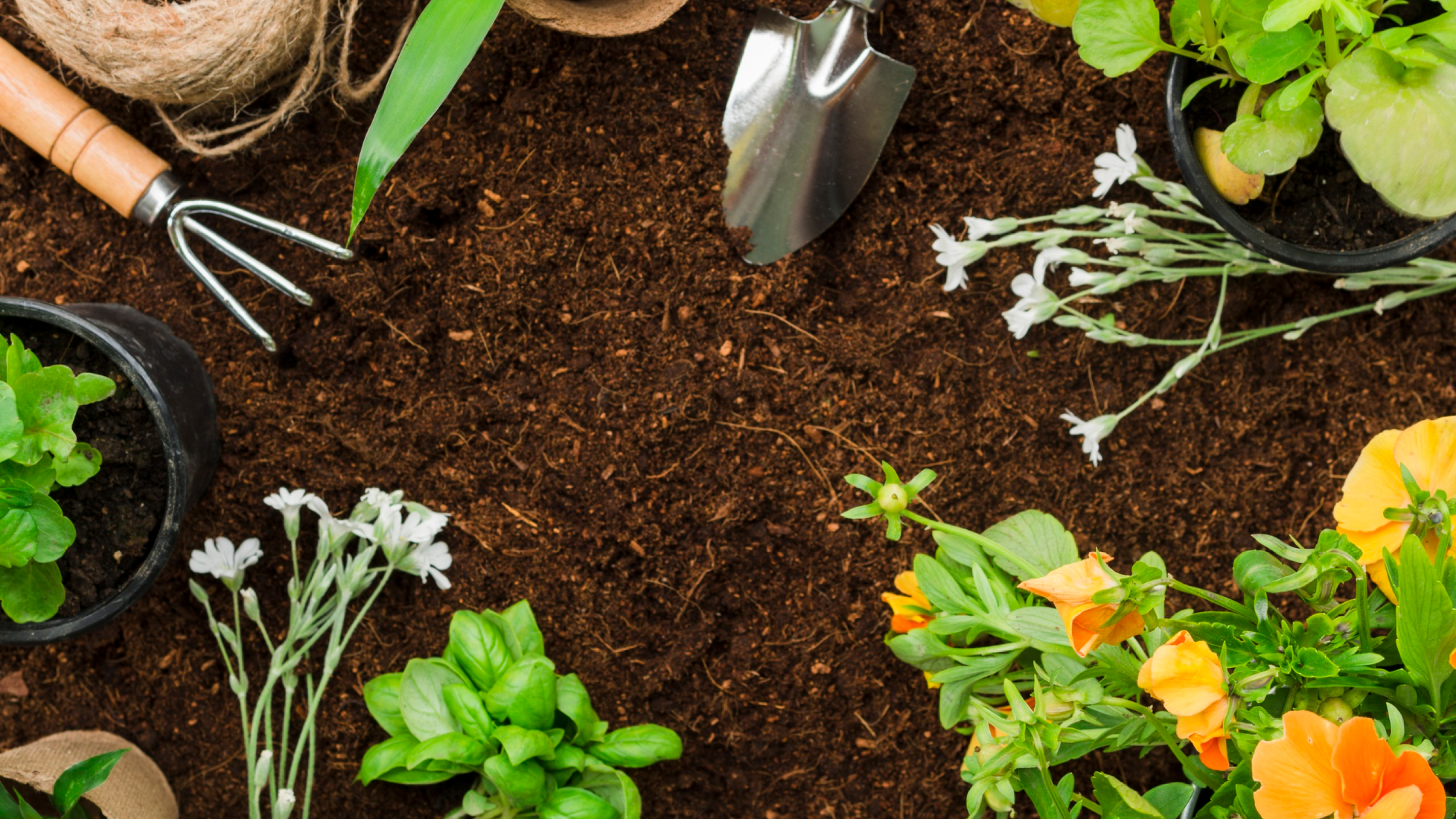 Green agro produkte bujqesore