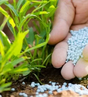 Green agro al produkte bujqesore